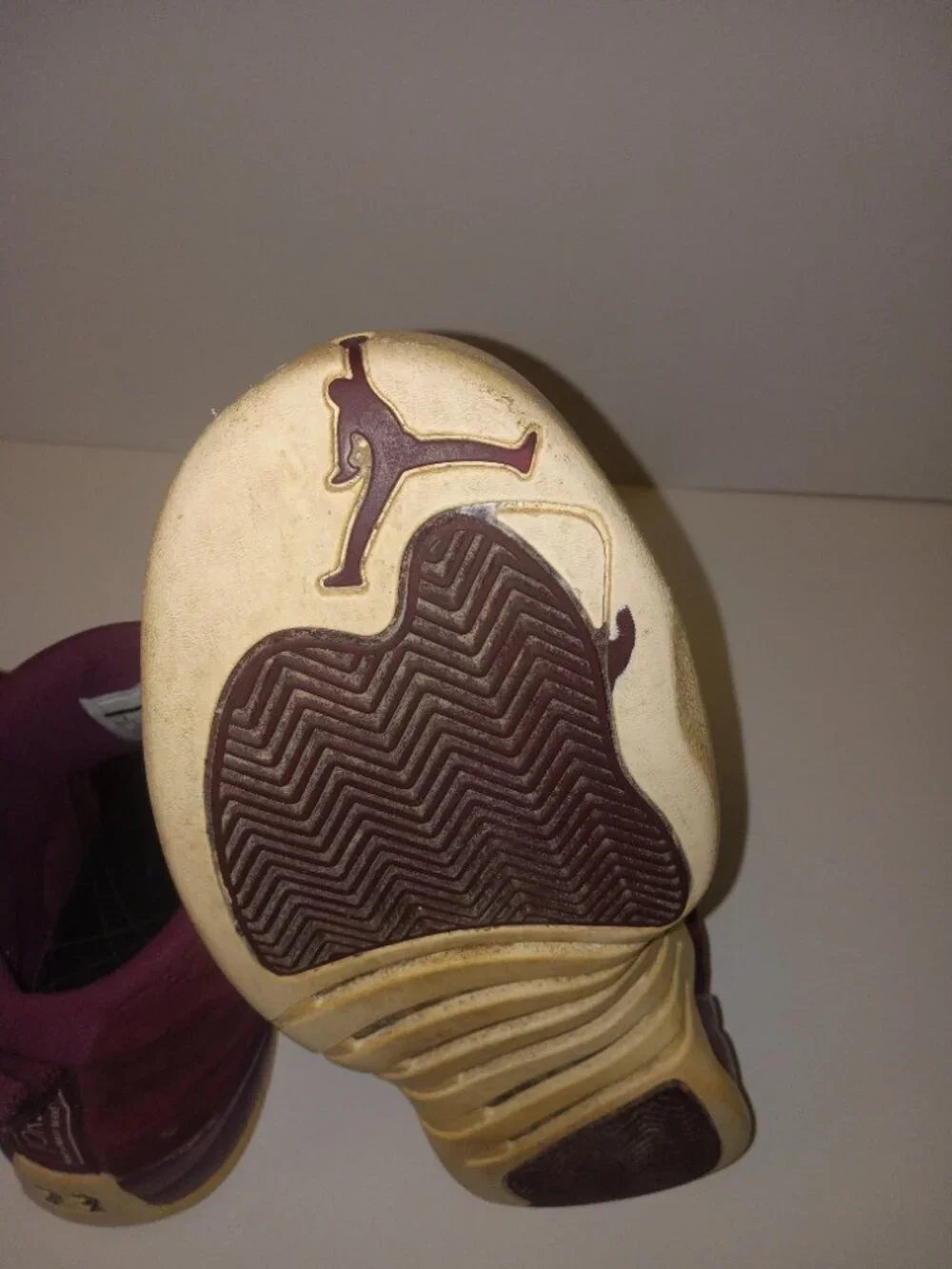 Jordan air 12